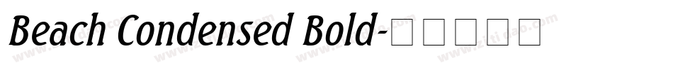 Beach Condensed Bold字体转换